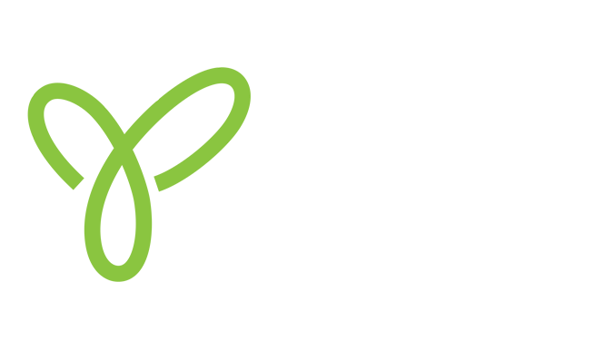 Snappy Cactus
